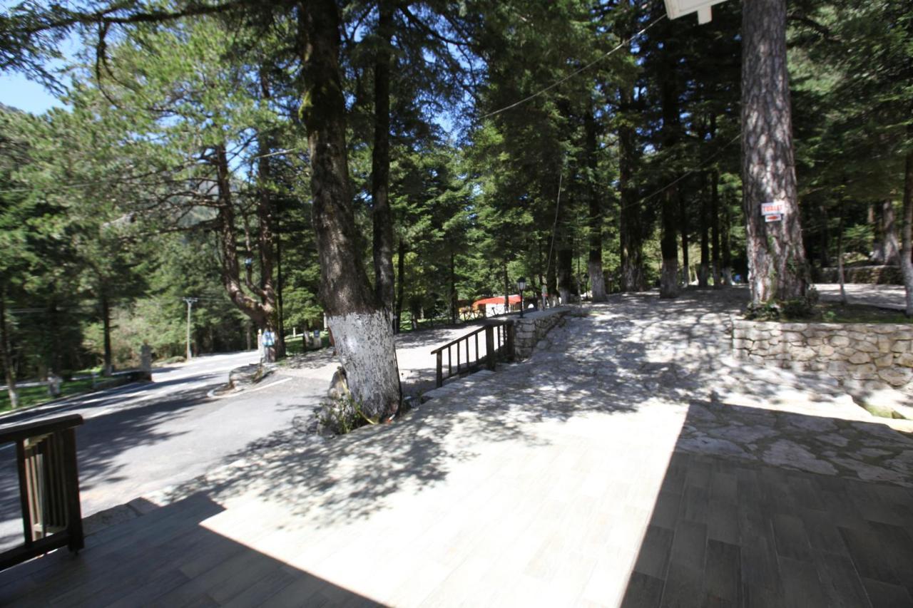 Bujtina Uji I Panjes, Log Cabins Dukat Экстерьер фото