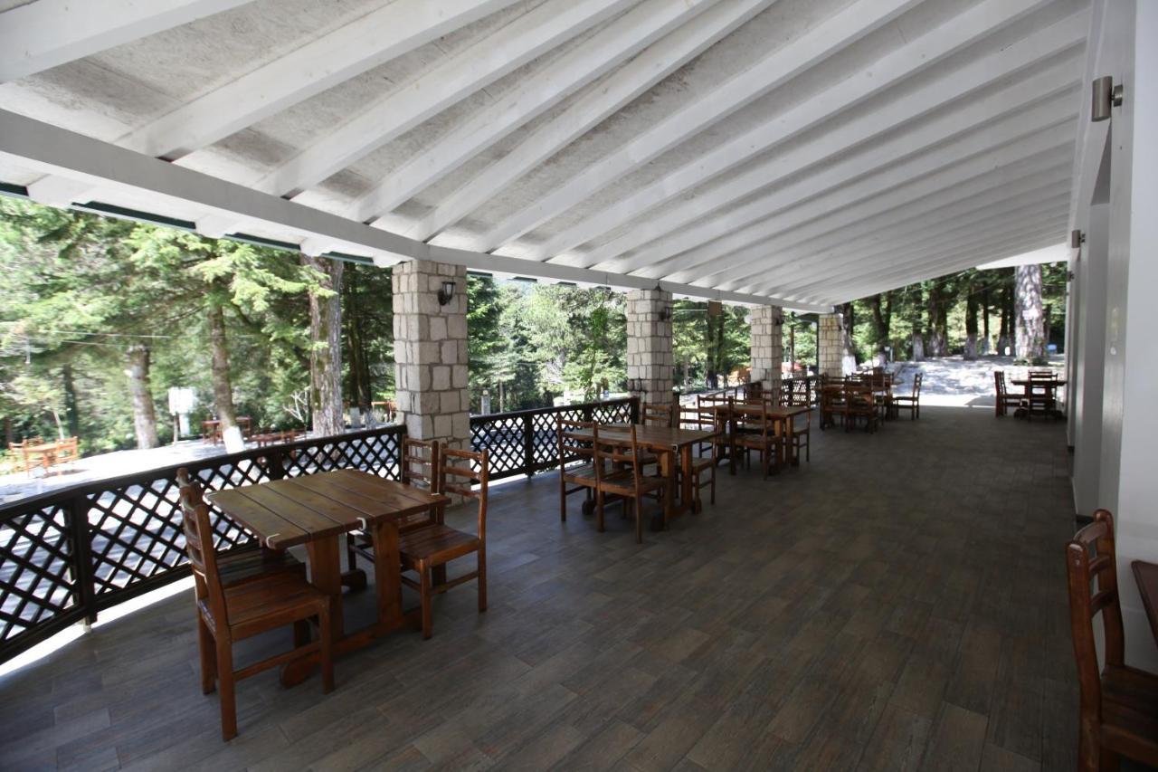 Bujtina Uji I Panjes, Log Cabins Dukat Экстерьер фото