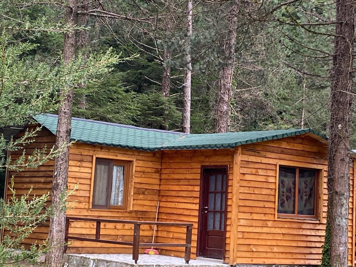 Bujtina Uji I Panjes, Log Cabins Dukat Экстерьер фото