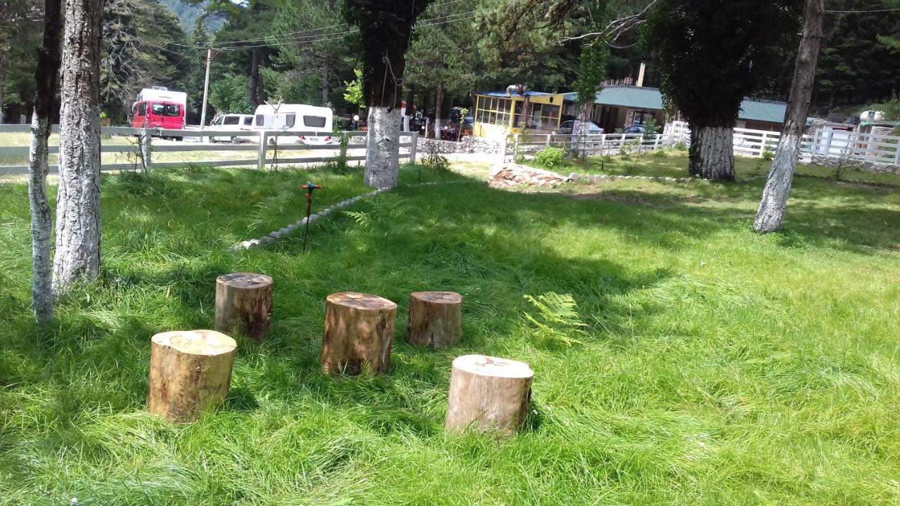 Bujtina Uji I Panjes, Log Cabins Dukat Экстерьер фото